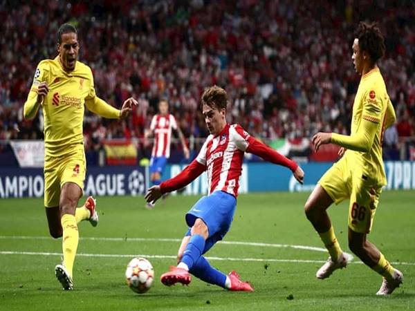 Dự đoán bóng đá Liverpool vs Atletico (3h00 ngày 4/11)