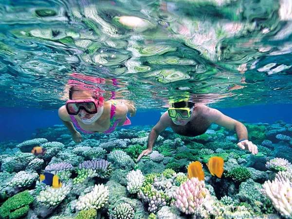 Snorkeling là gì? Cách thức để chơi Snorkeling như thế nào