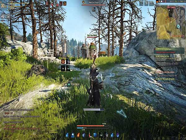 Black Desert Online - Game mmorpg online hay