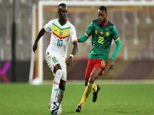 Dự đoán bóng đá Senegal vs Cameroon (00h00 ngày 20/1)