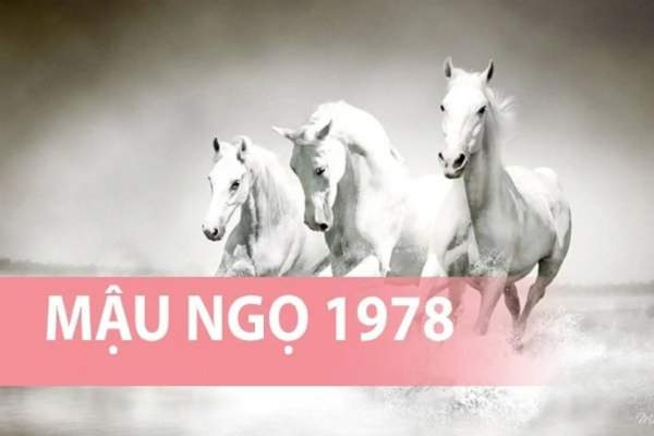 Bật mí con số phát tài tuổi Mậu Ngọ 18/10/2025 dẫn lối phát đạt